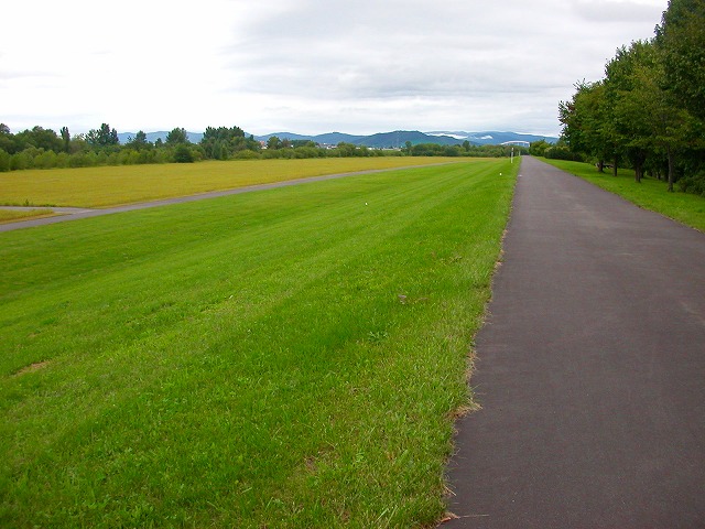 DSCN0930