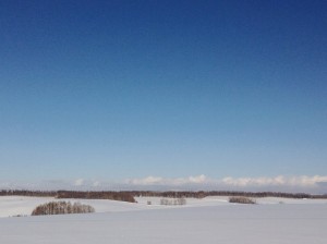 blog04