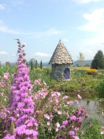 IMG_1288