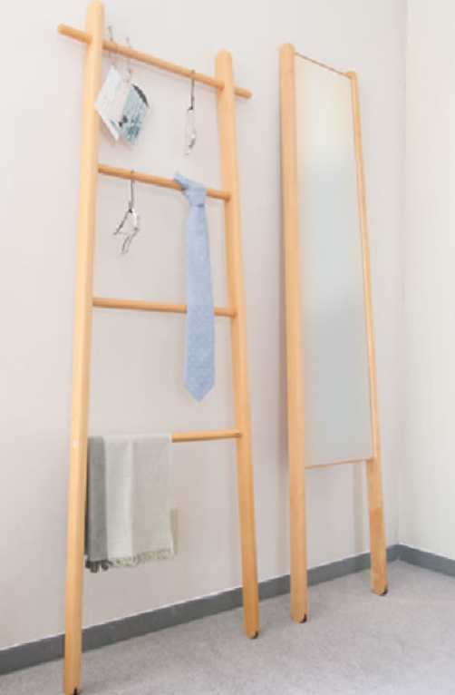 Ladder rack and carry mirror