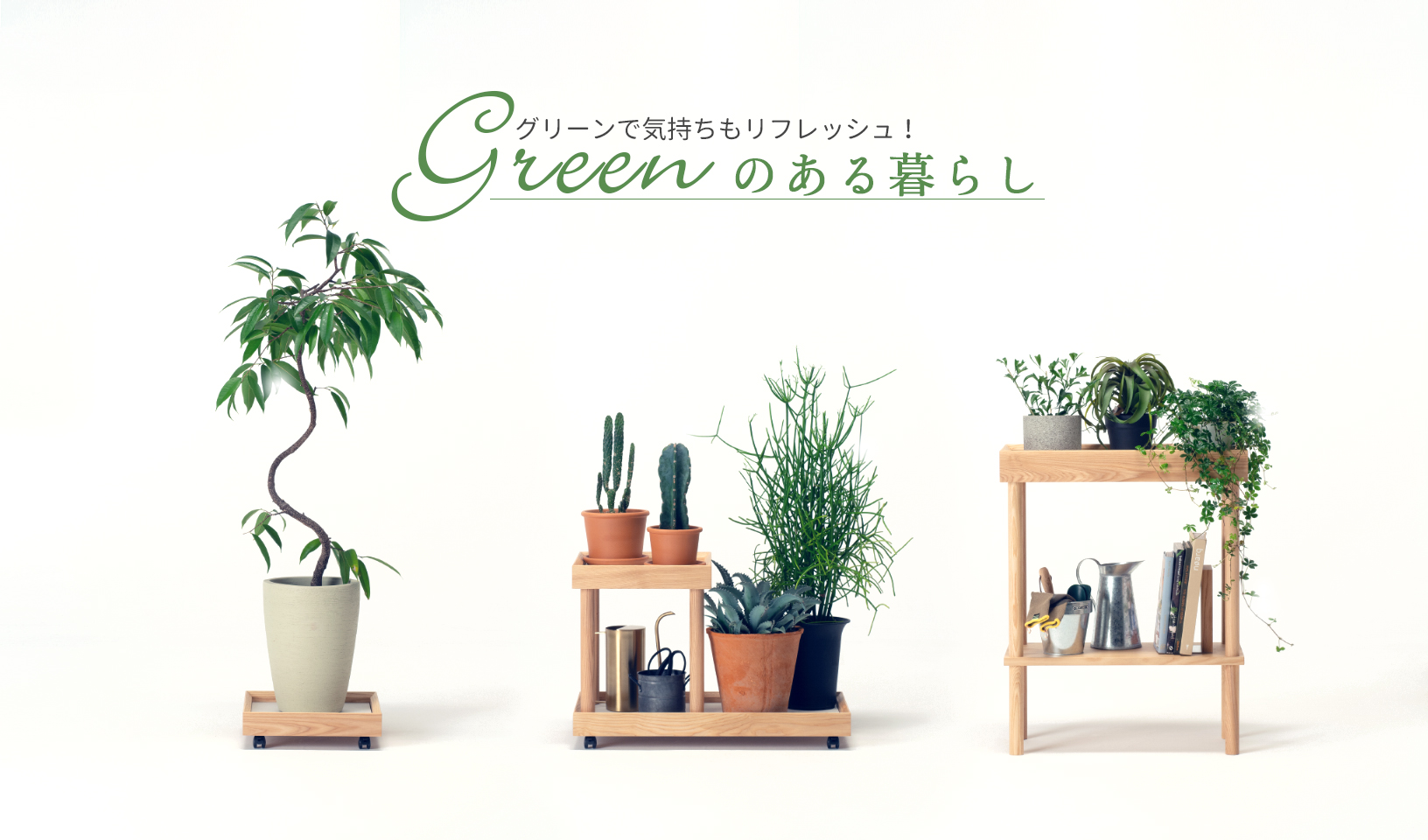 Feel refreshed with green! Living with green