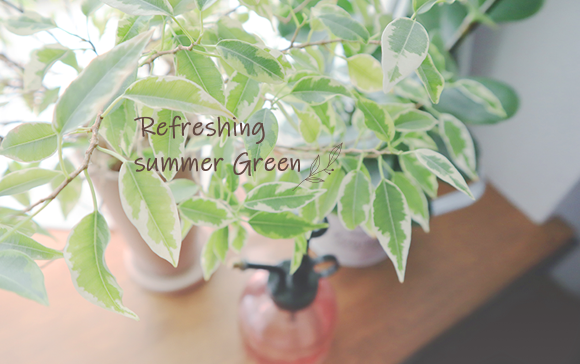 Refreshing summer Green